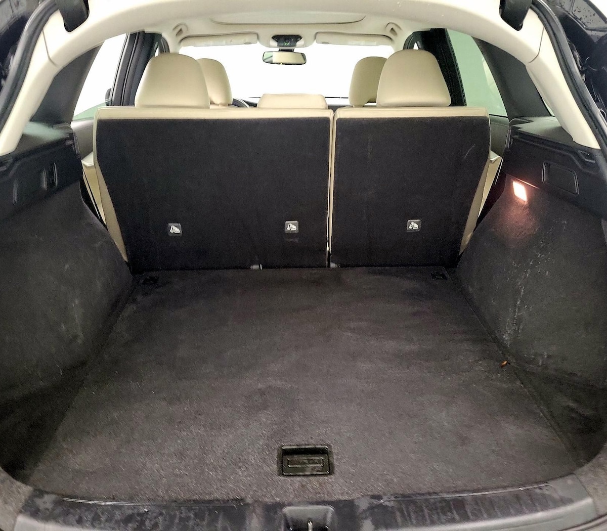 Trunk/Cargo (Seats Up)