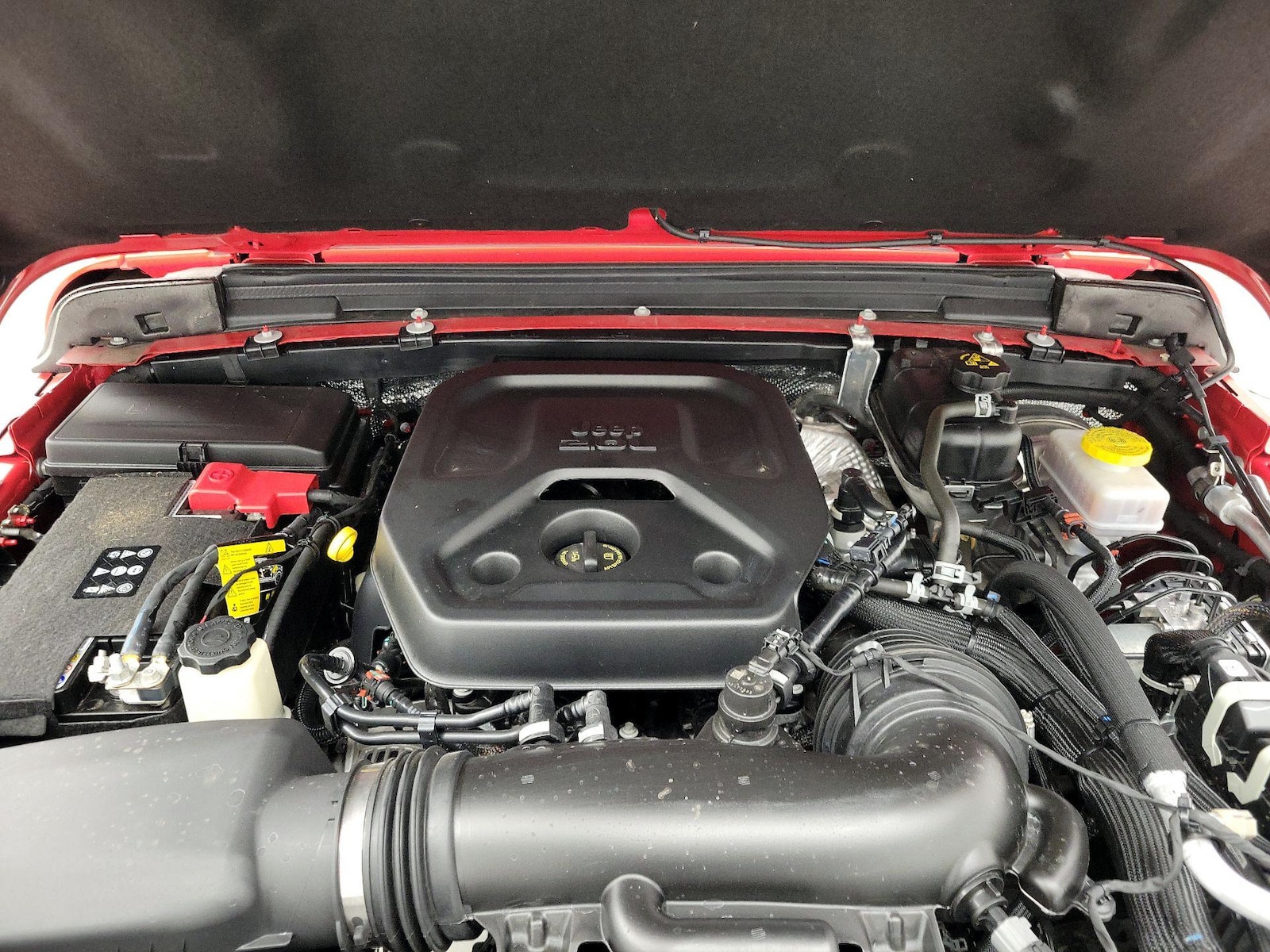 2025 Jeep Wrangler 4-Door Rubicon - Photo 22