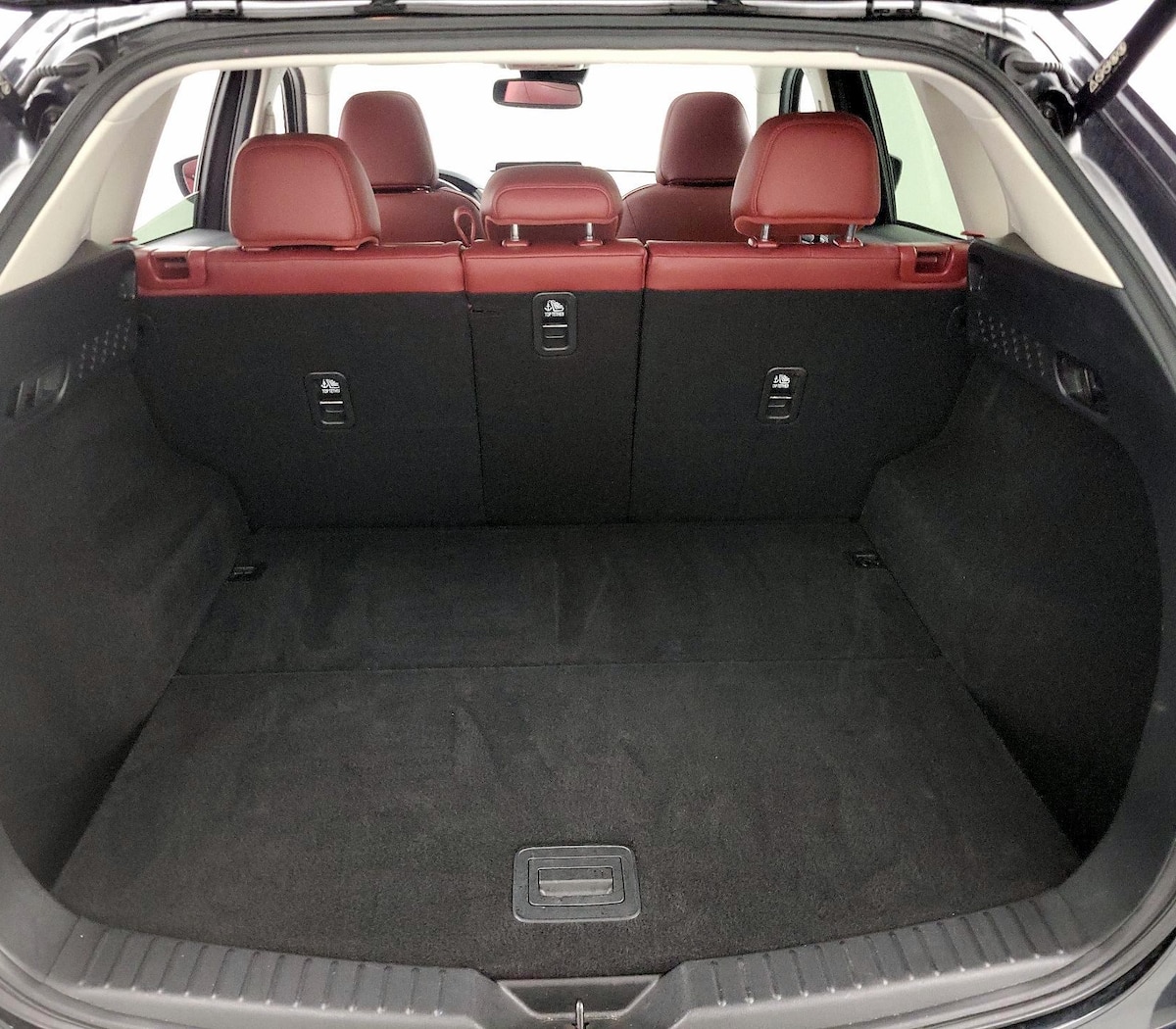 Trunk/Cargo (Seats Up)
