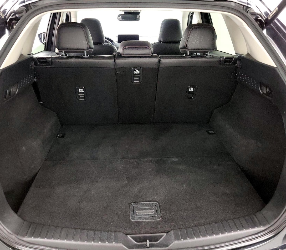 Trunk/Cargo (Seats Up)