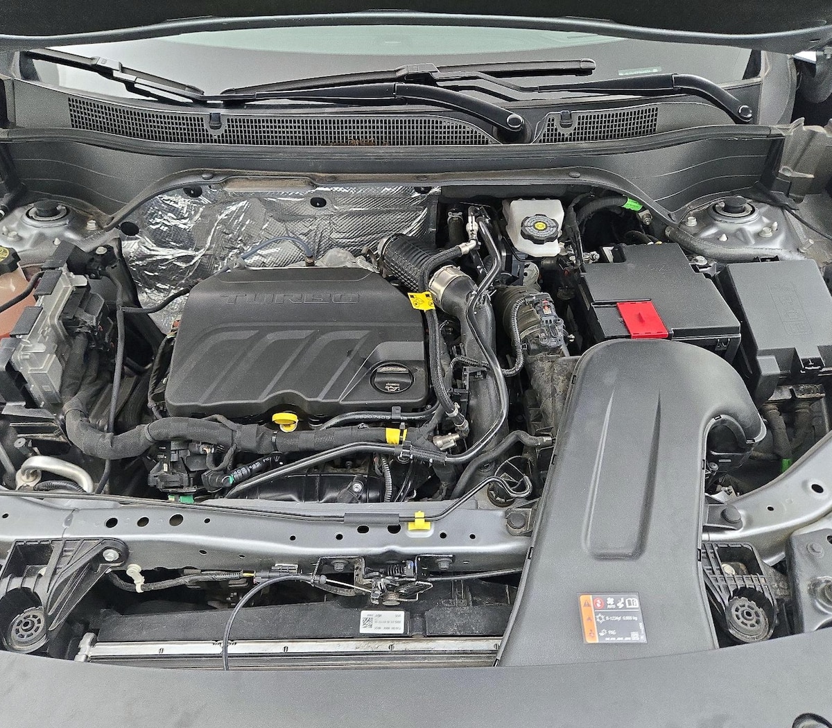 Trunk/Cargo (Seats Up)