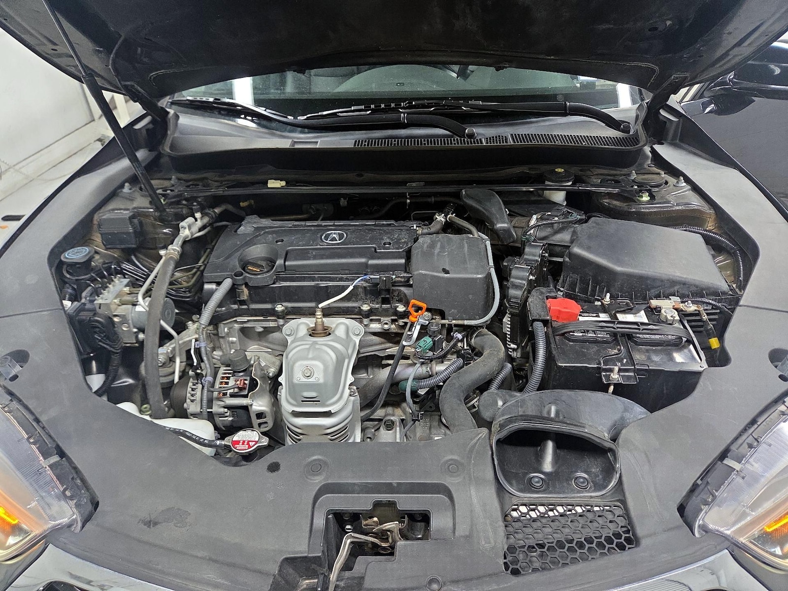 Photo 18