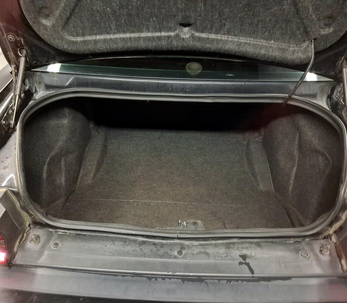 Trunk/Cargo (Seats Up)