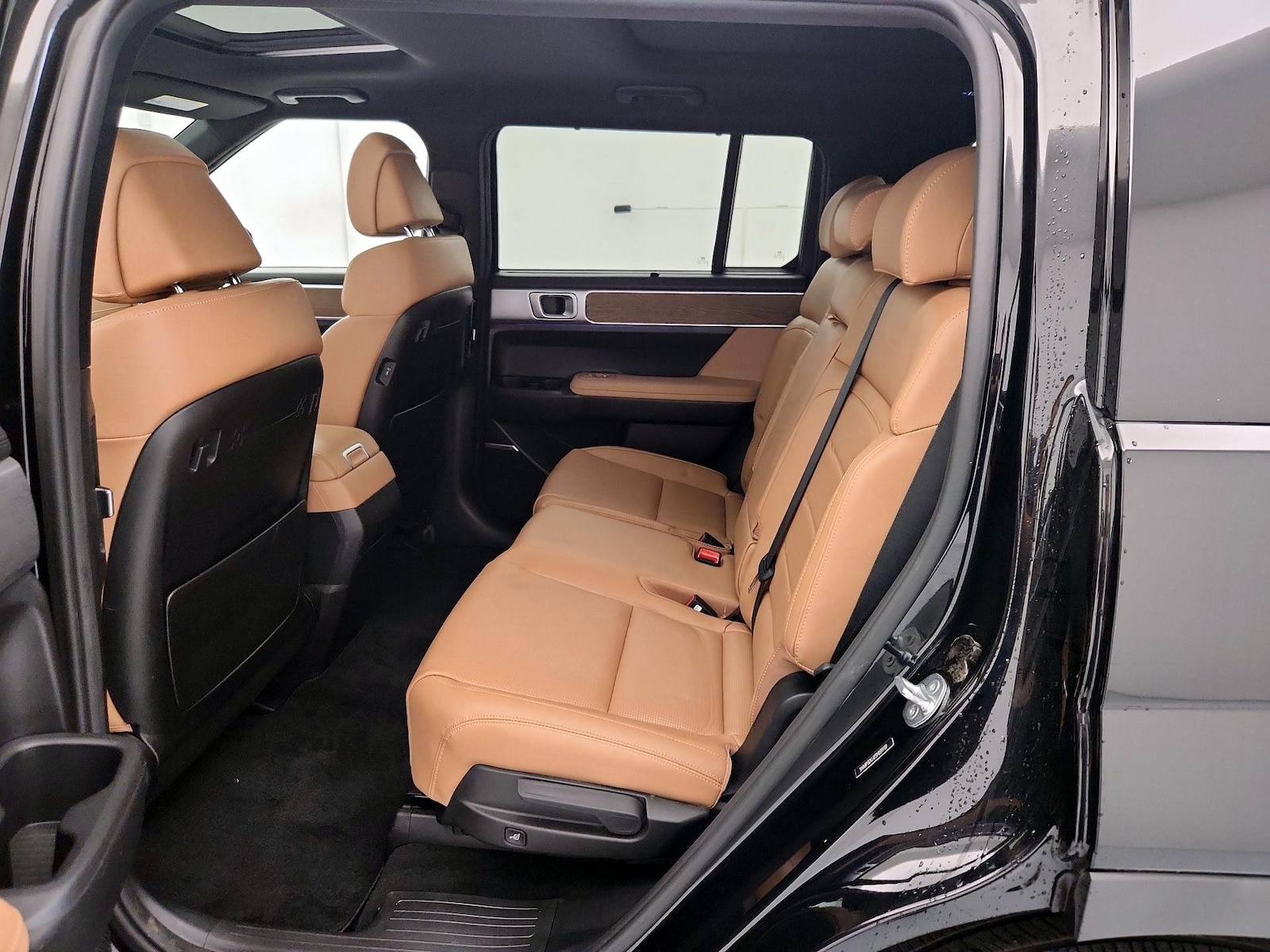 2025 Hyundai Santa Fe Limited - Photo 22