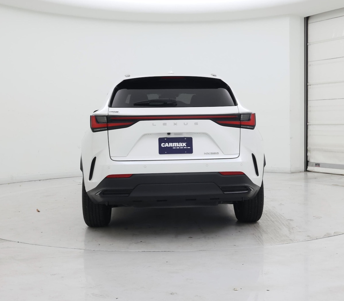 Rear