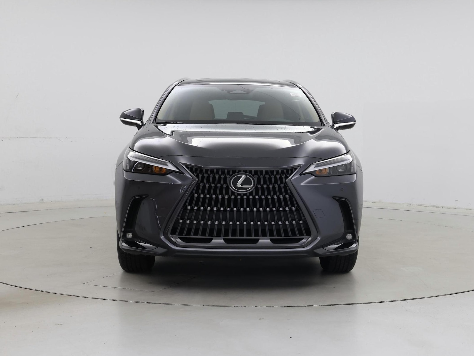 2025 Lexus NX 250 - Photo 6