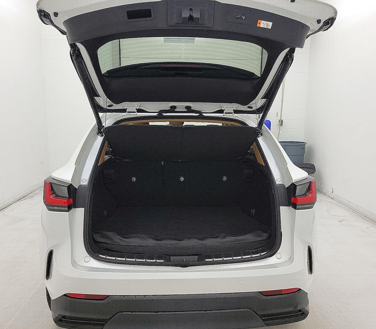 Trunk/Cargo (Seats Up)