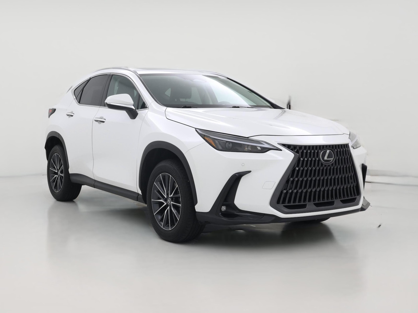 2025 Lexus NX
