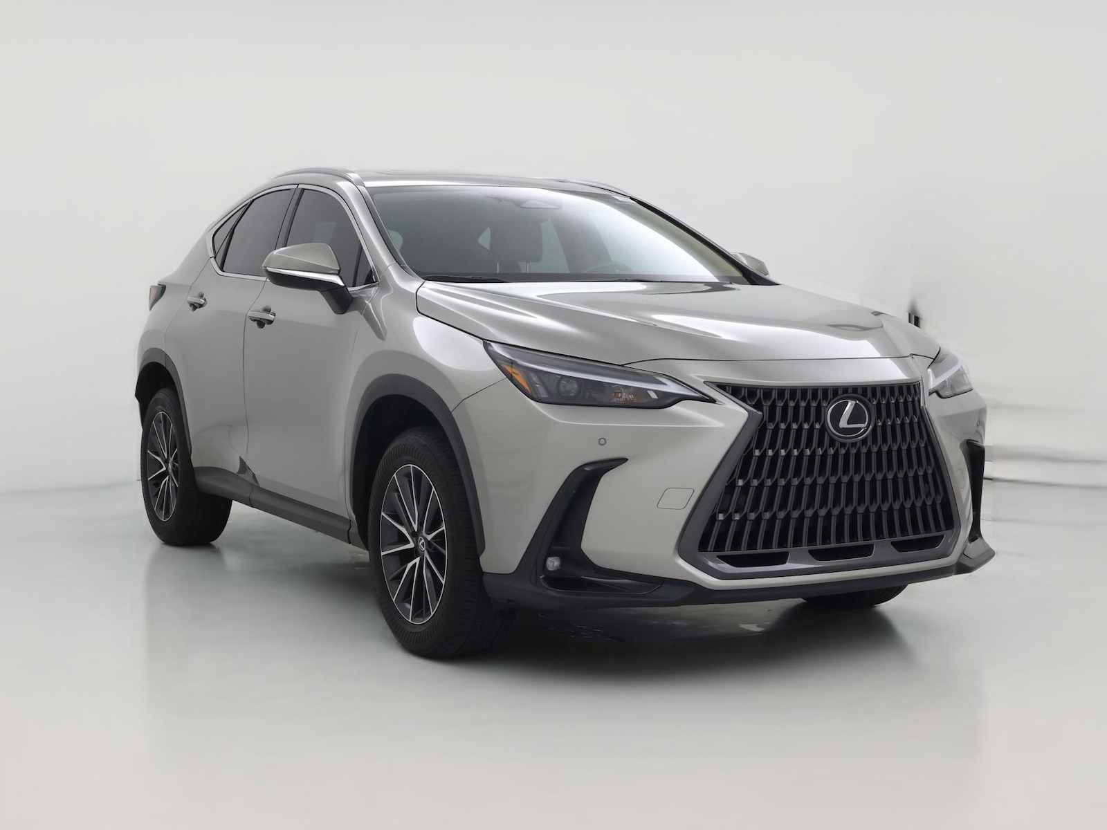 2025 Lexus NX