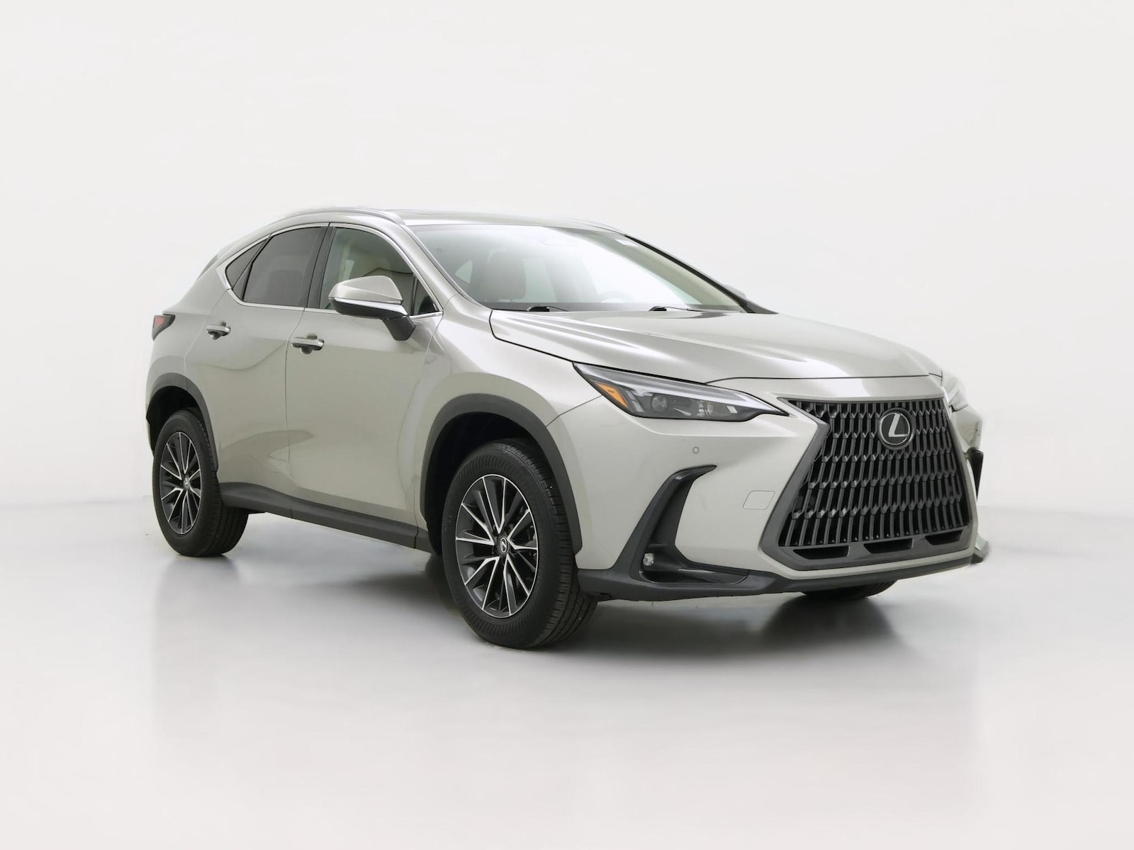 2024 Lexus NX