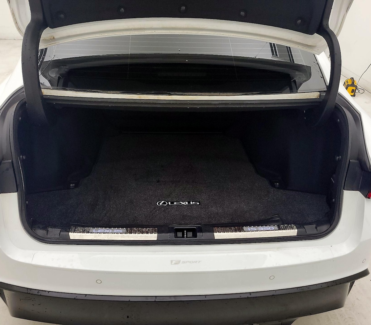 Trunk/Cargo (Seats Up)