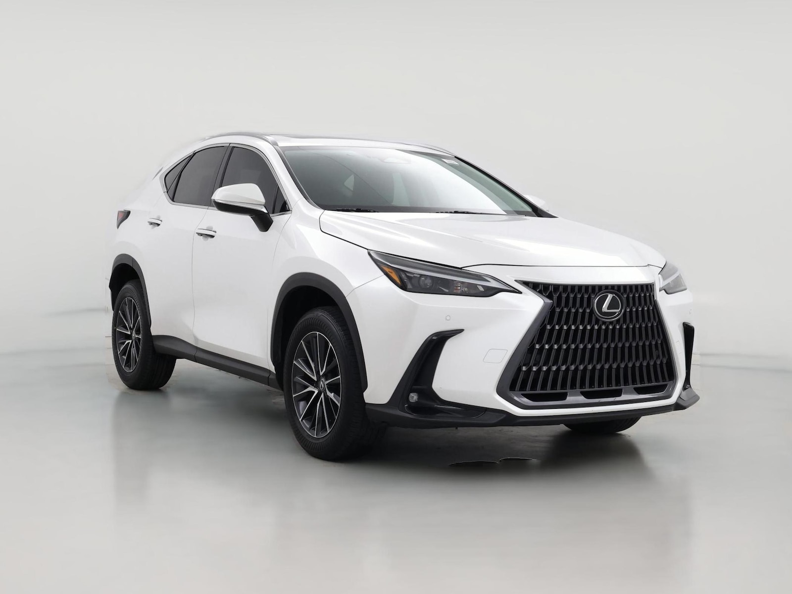 2024 Lexus NX