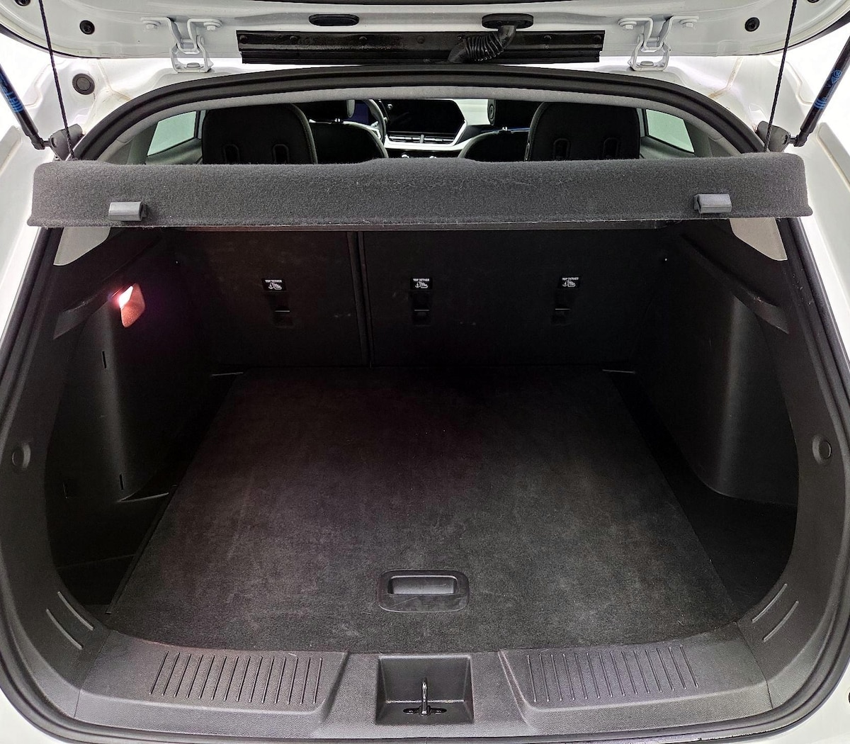 Trunk/Cargo (Seats Up)