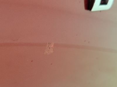 Condition detail