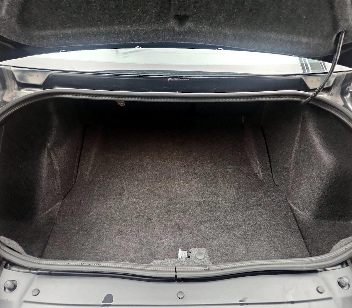 Trunk/Cargo (Seats Up)