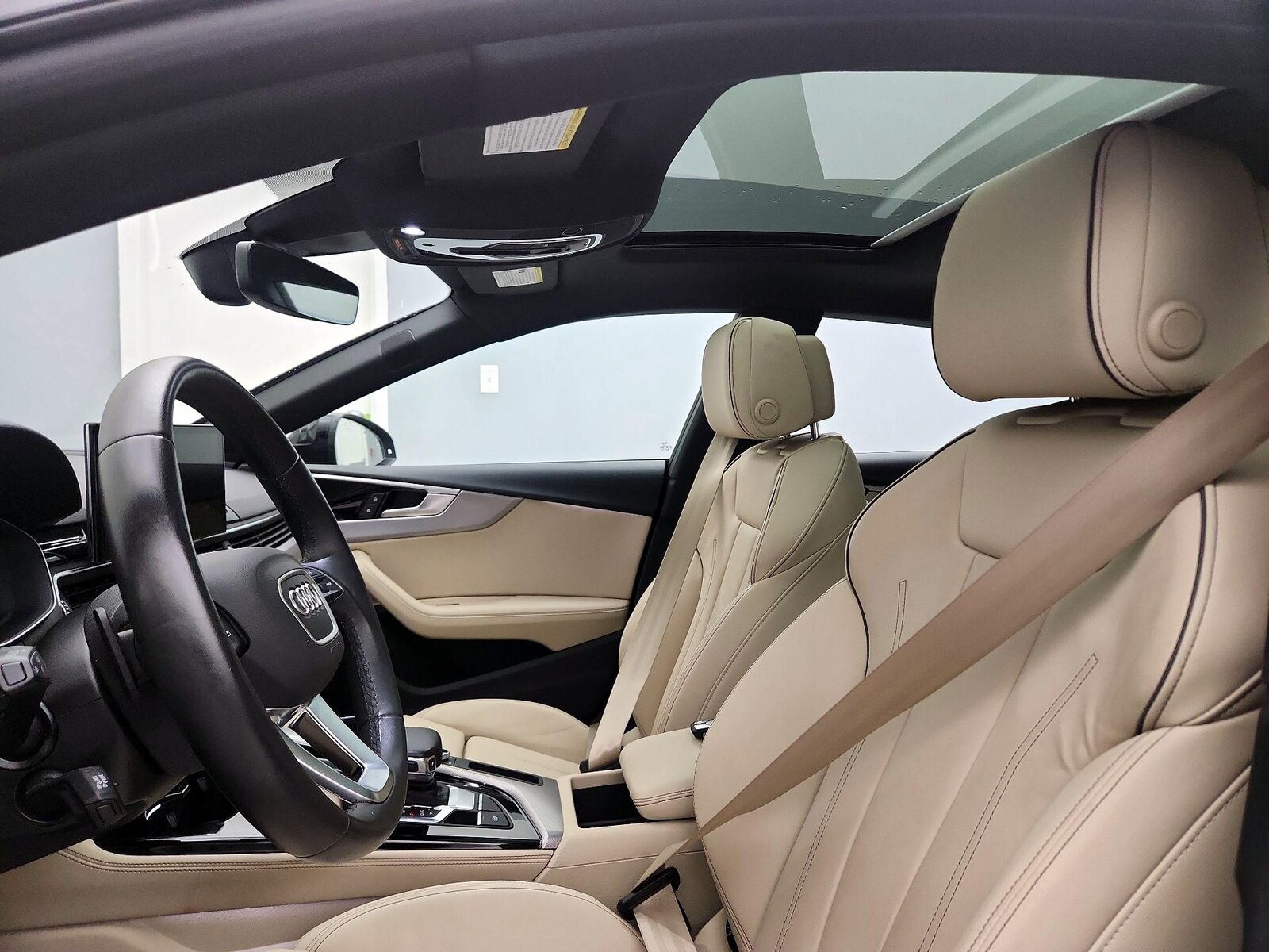 Panoramic Sunroof