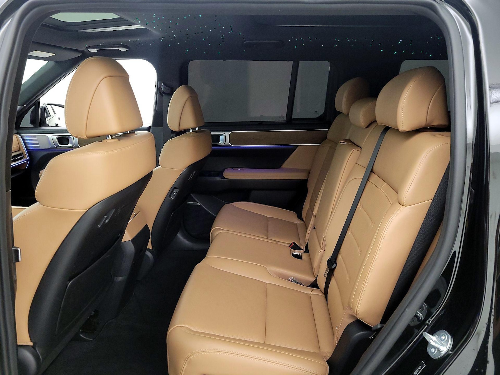 2025 Hyundai Santa Fe Limited - Photo 22