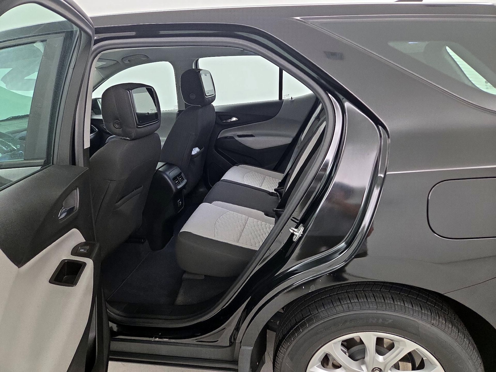 Rear Entertainment System