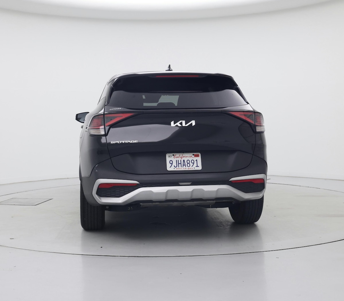 Rear