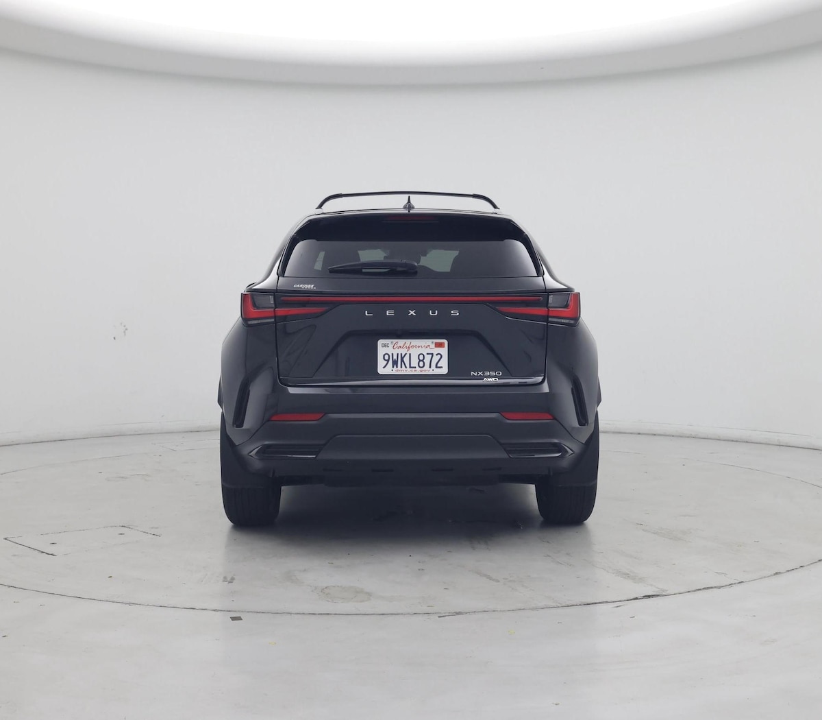 Rear