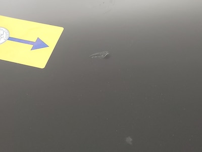 Condition detail