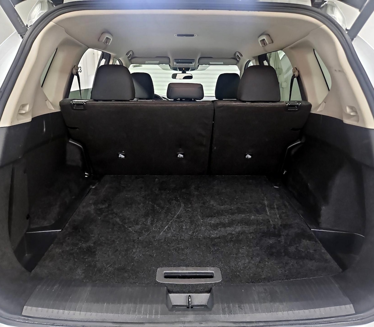 Trunk/Cargo (Seats Up)
