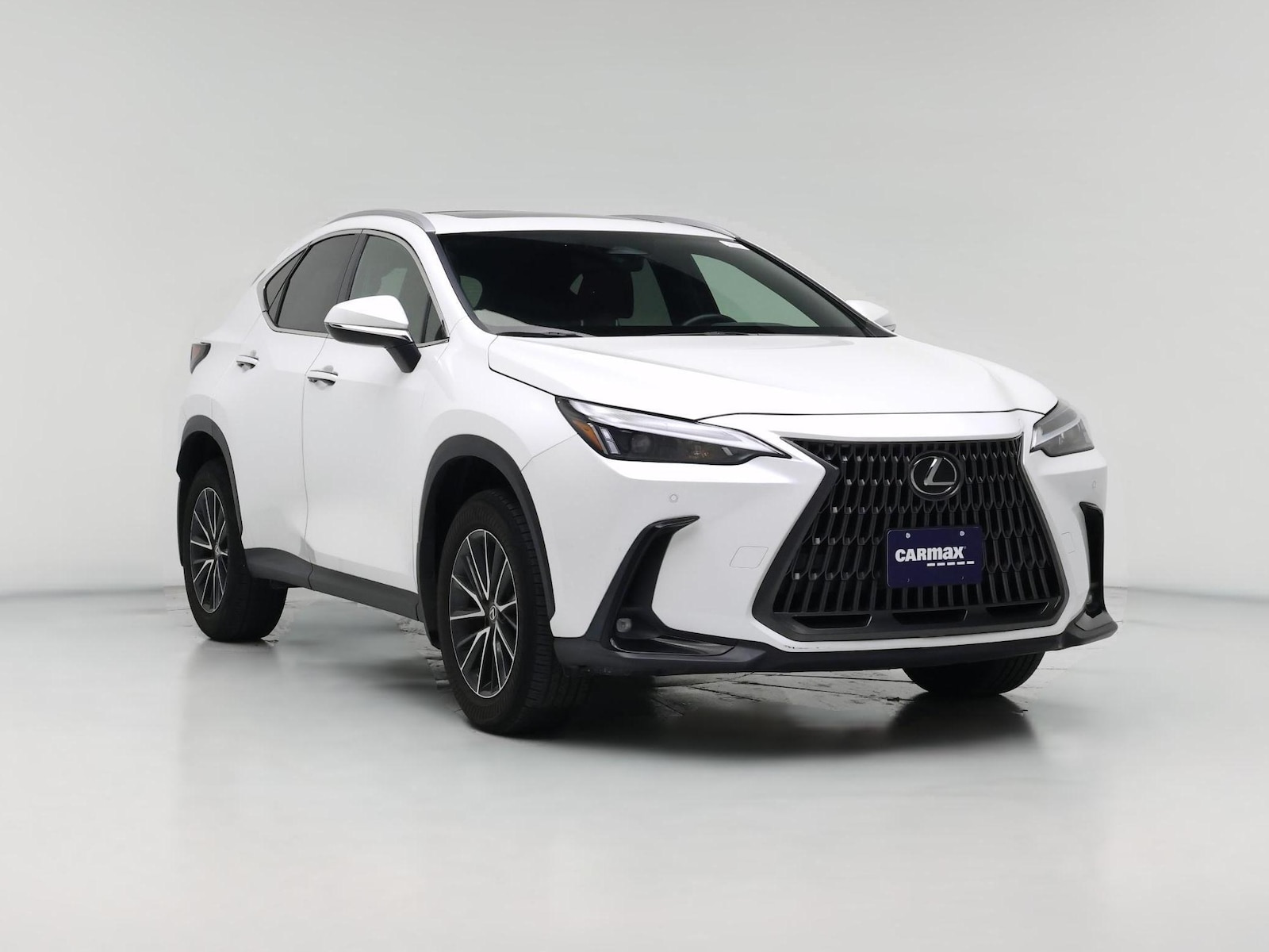 2024 Lexus NX