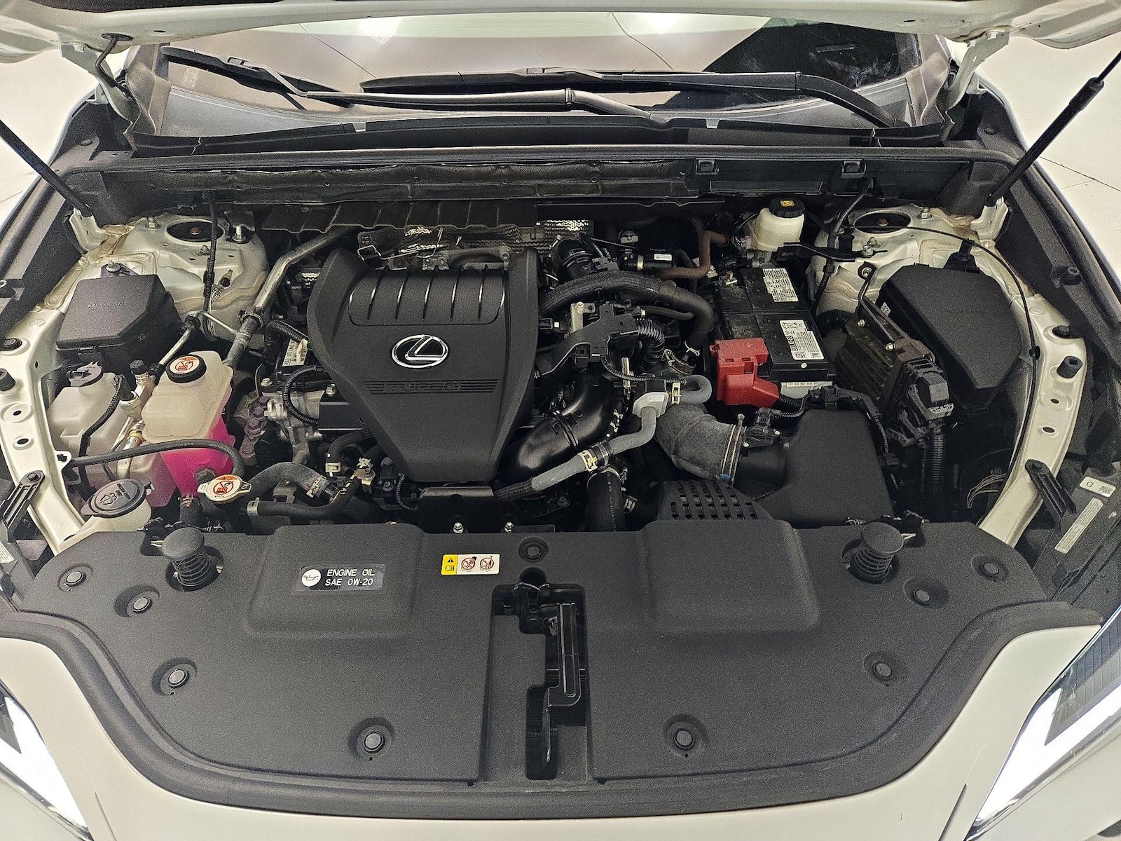 2024 Lexus NX 350 - Photo 23