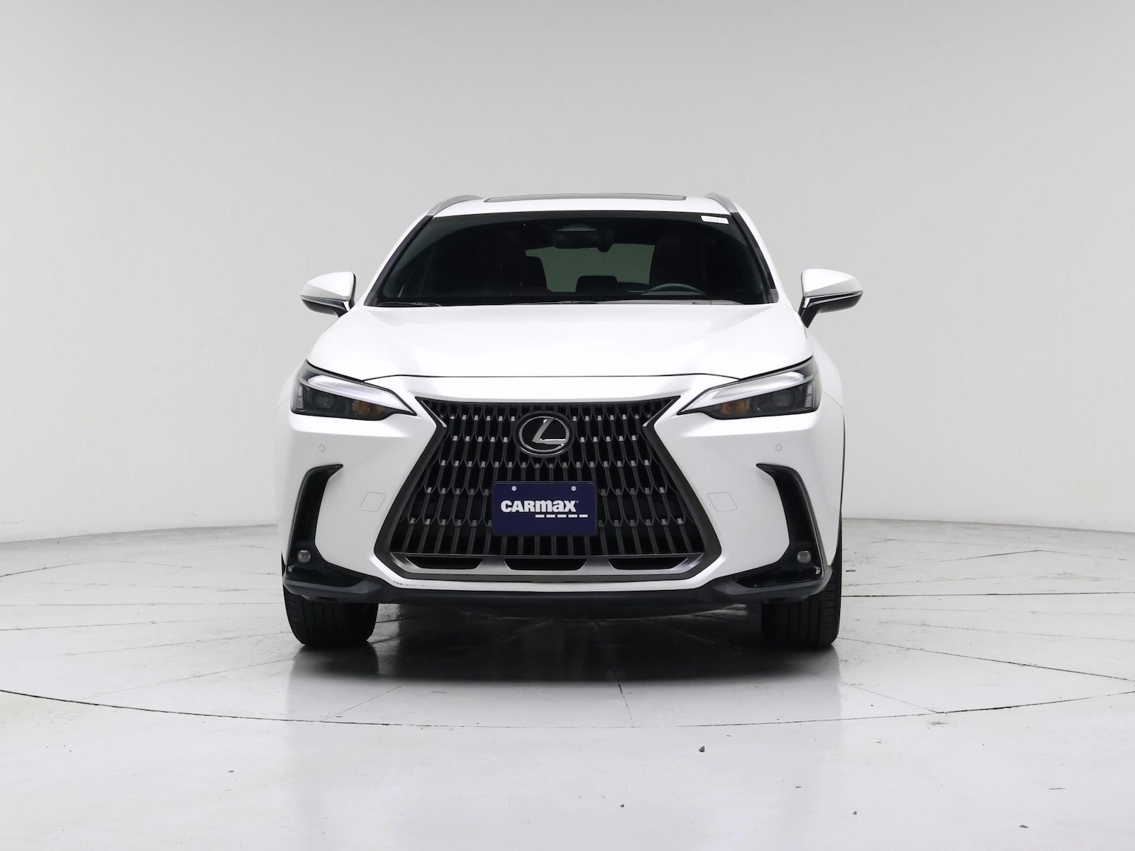 2024 Lexus NX 350 - Photo 6