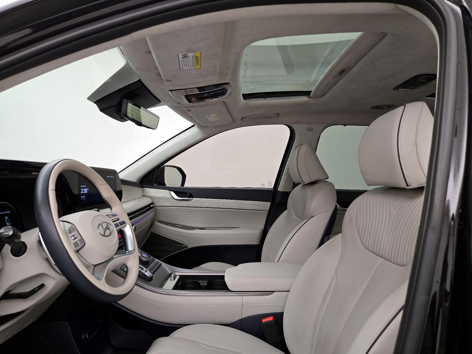 2025 Hyundai Palisade Calligraphy - Photo 21