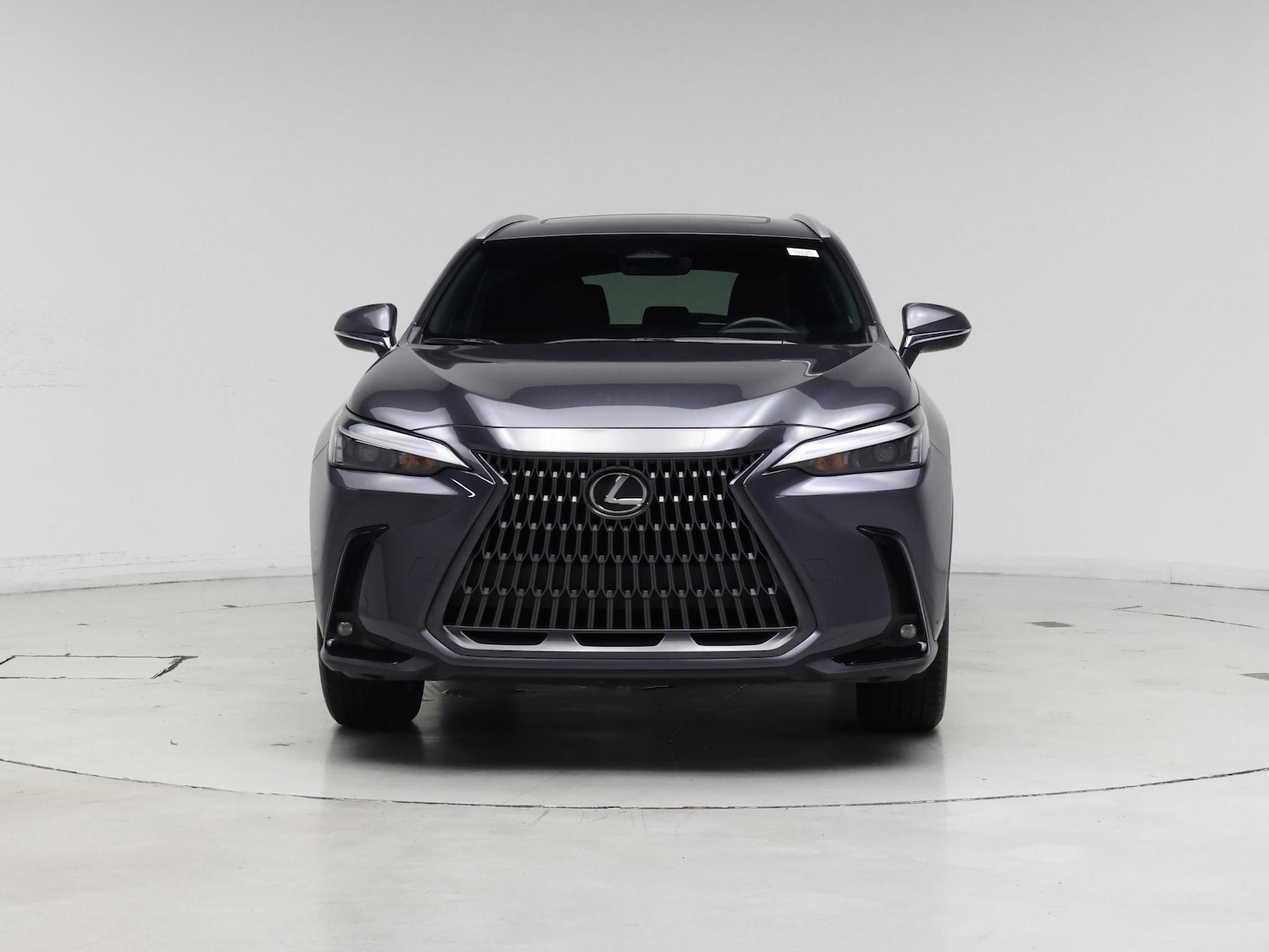 2024 Lexus NX 250 - Photo 6