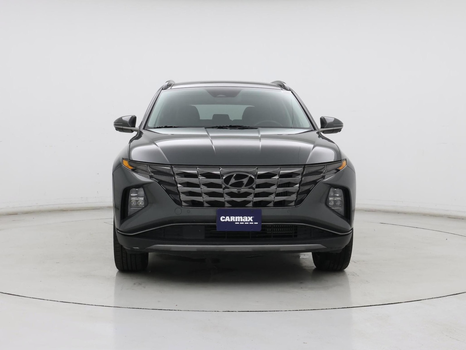 2024 Hyundai Tucson Limited - Photo 6