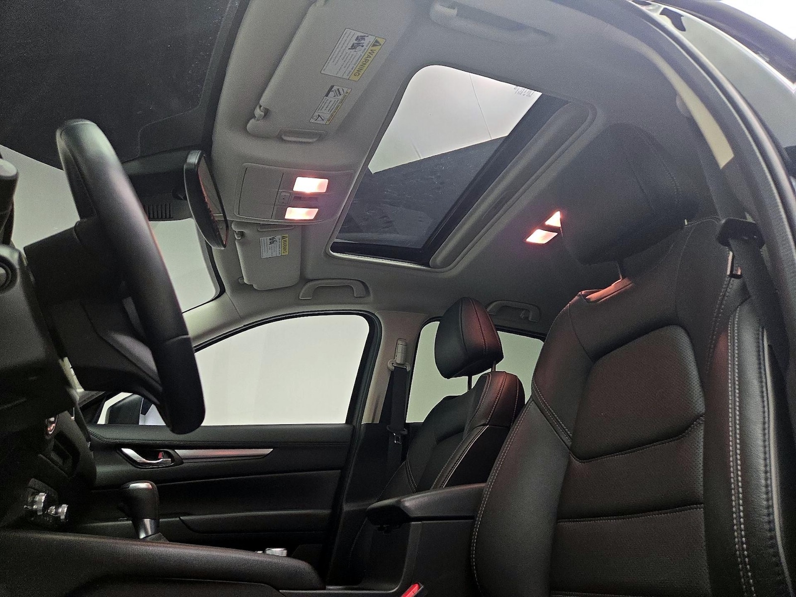 Overhead Airbags