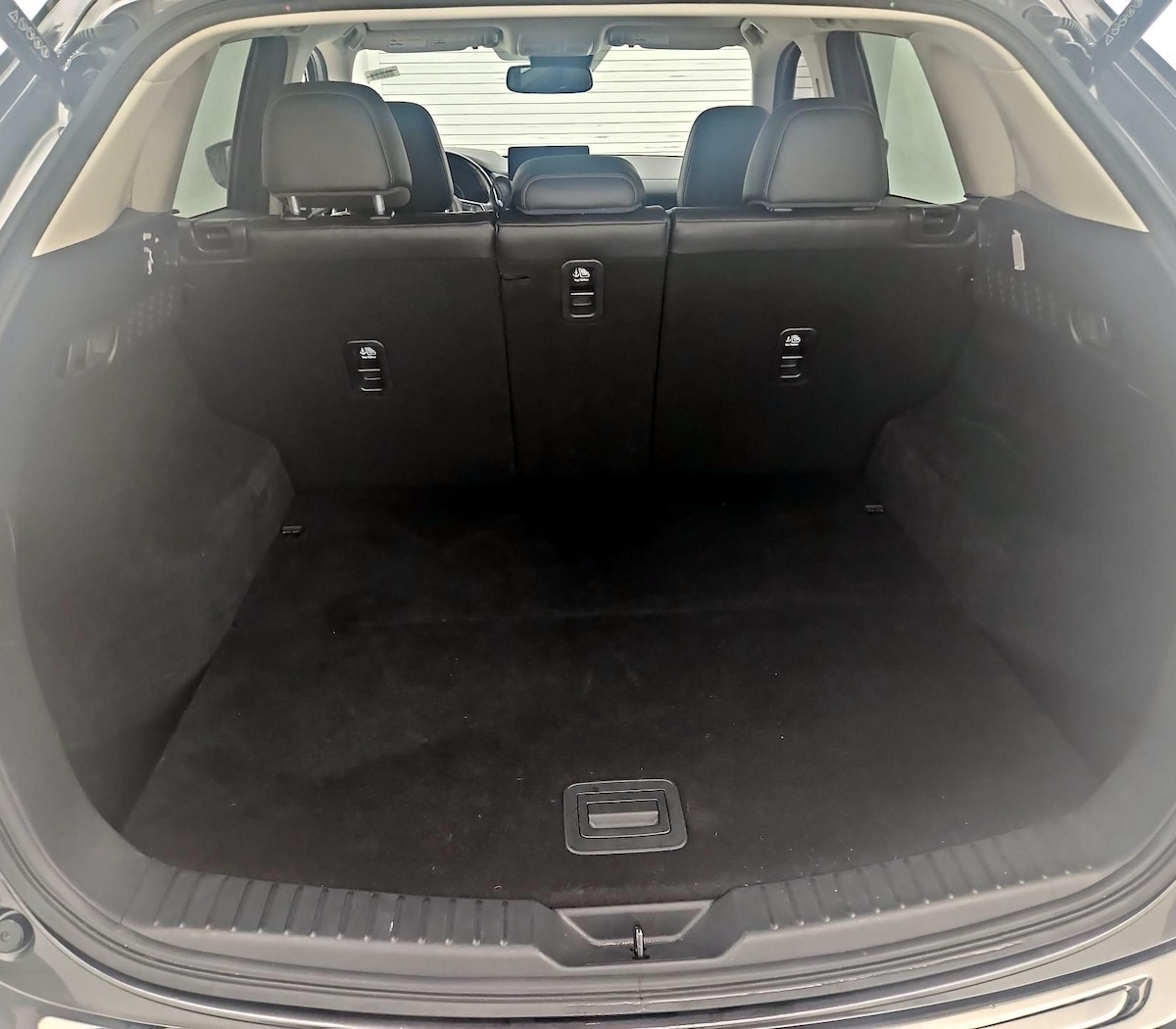 Trunk/Cargo (Seats Up)