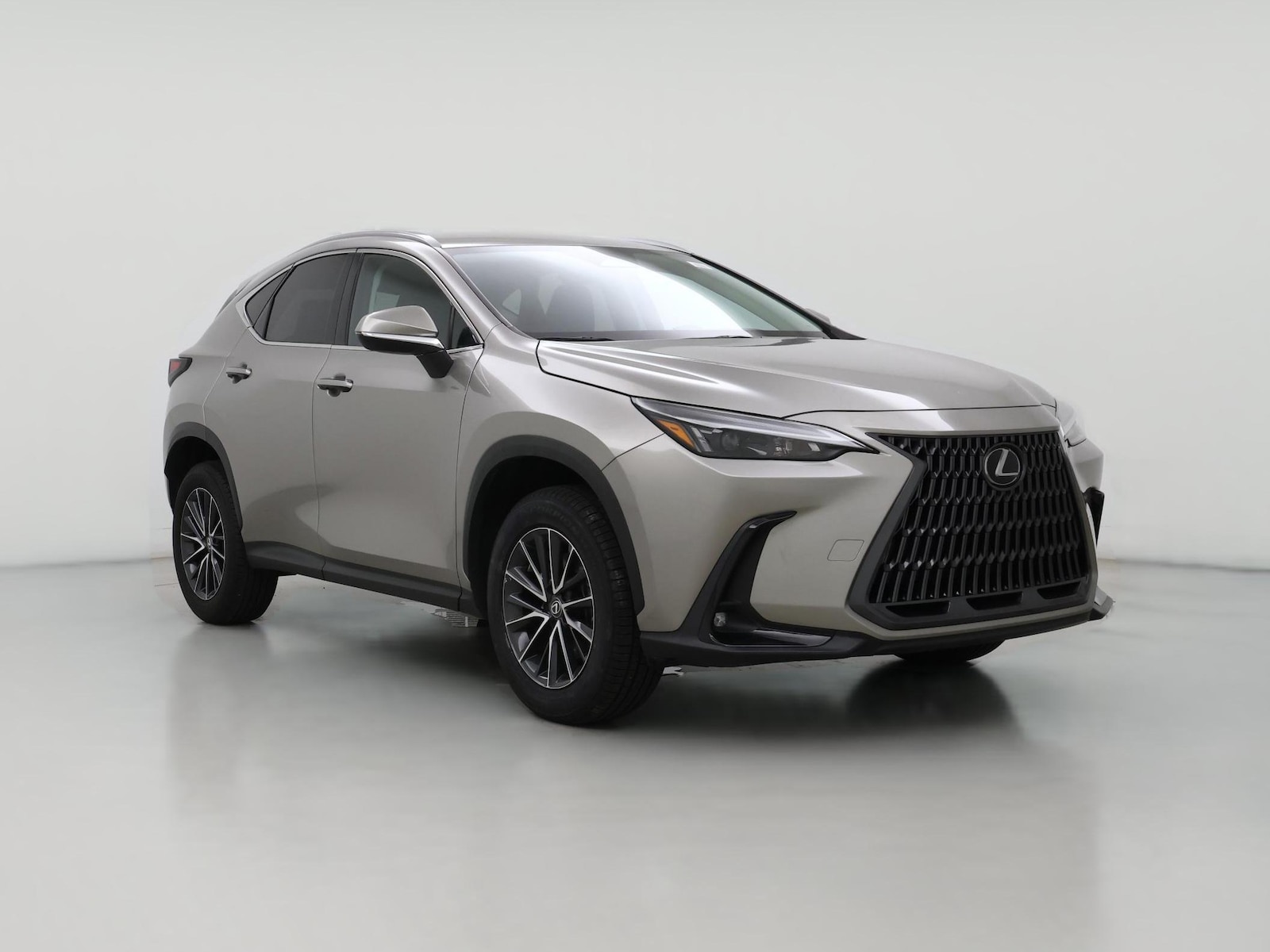 2024 Lexus NX