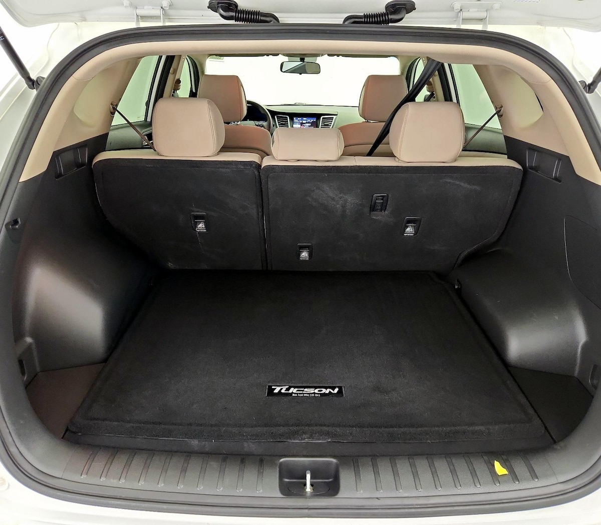 Trunk/Cargo (Seats Up)