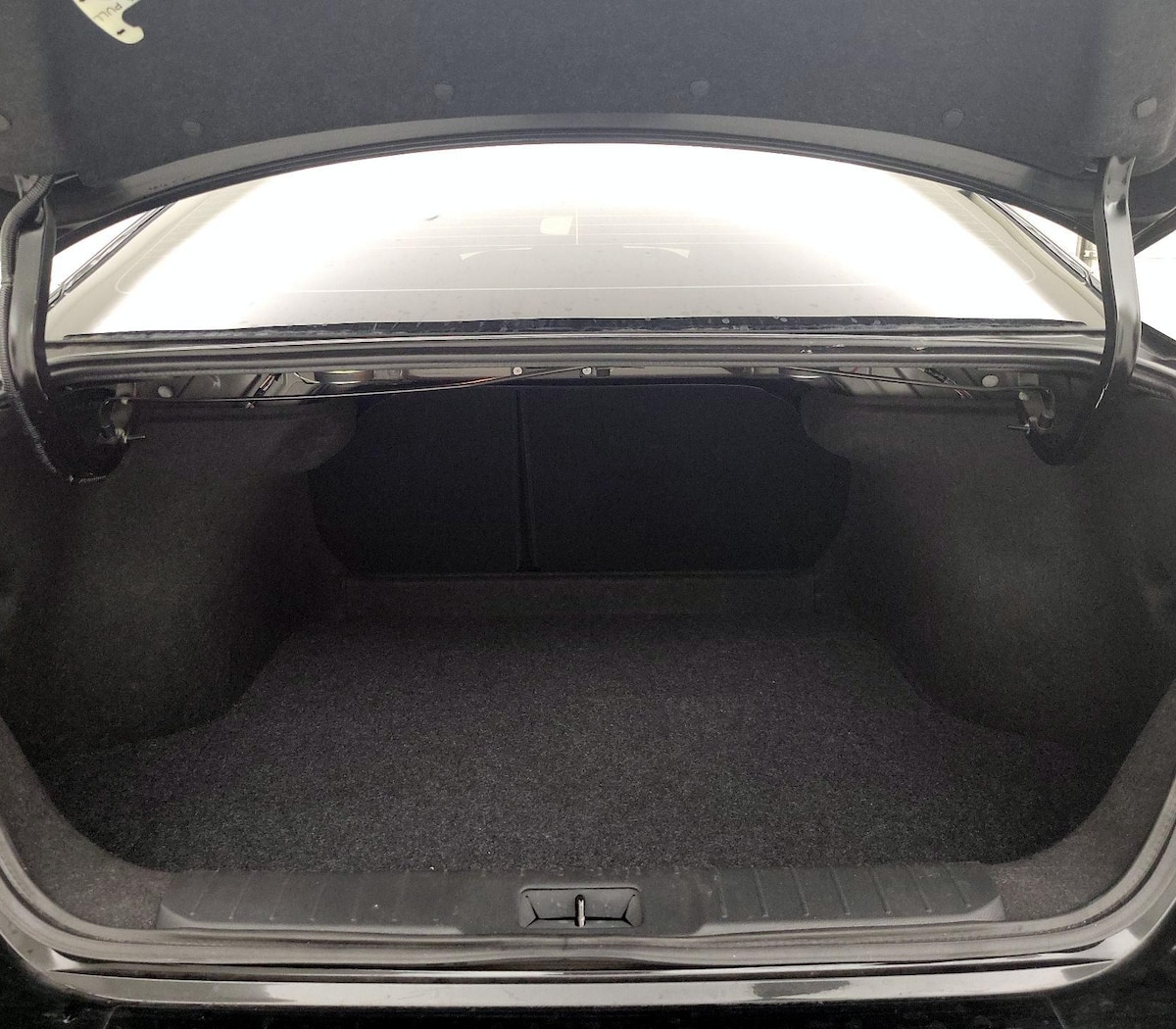 Trunk/Cargo (Seats Up)