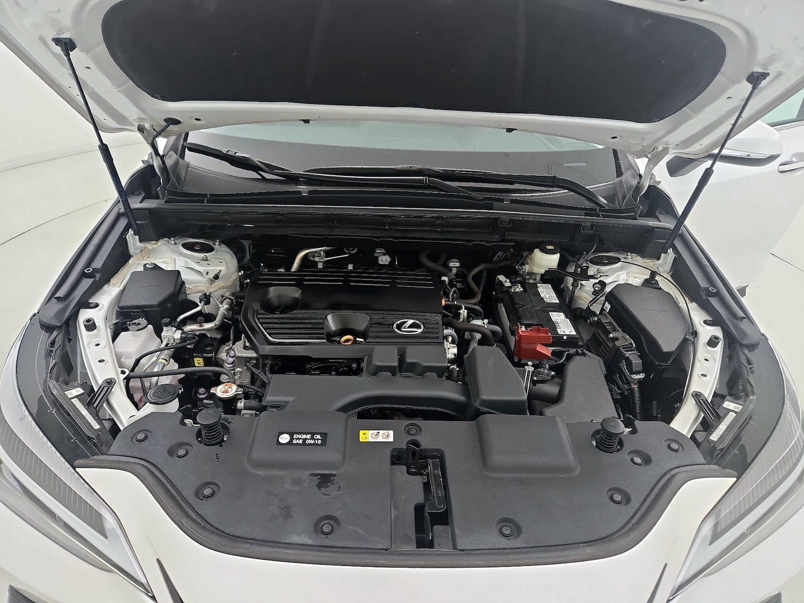 2024 Lexus NX 250 - Photo 23