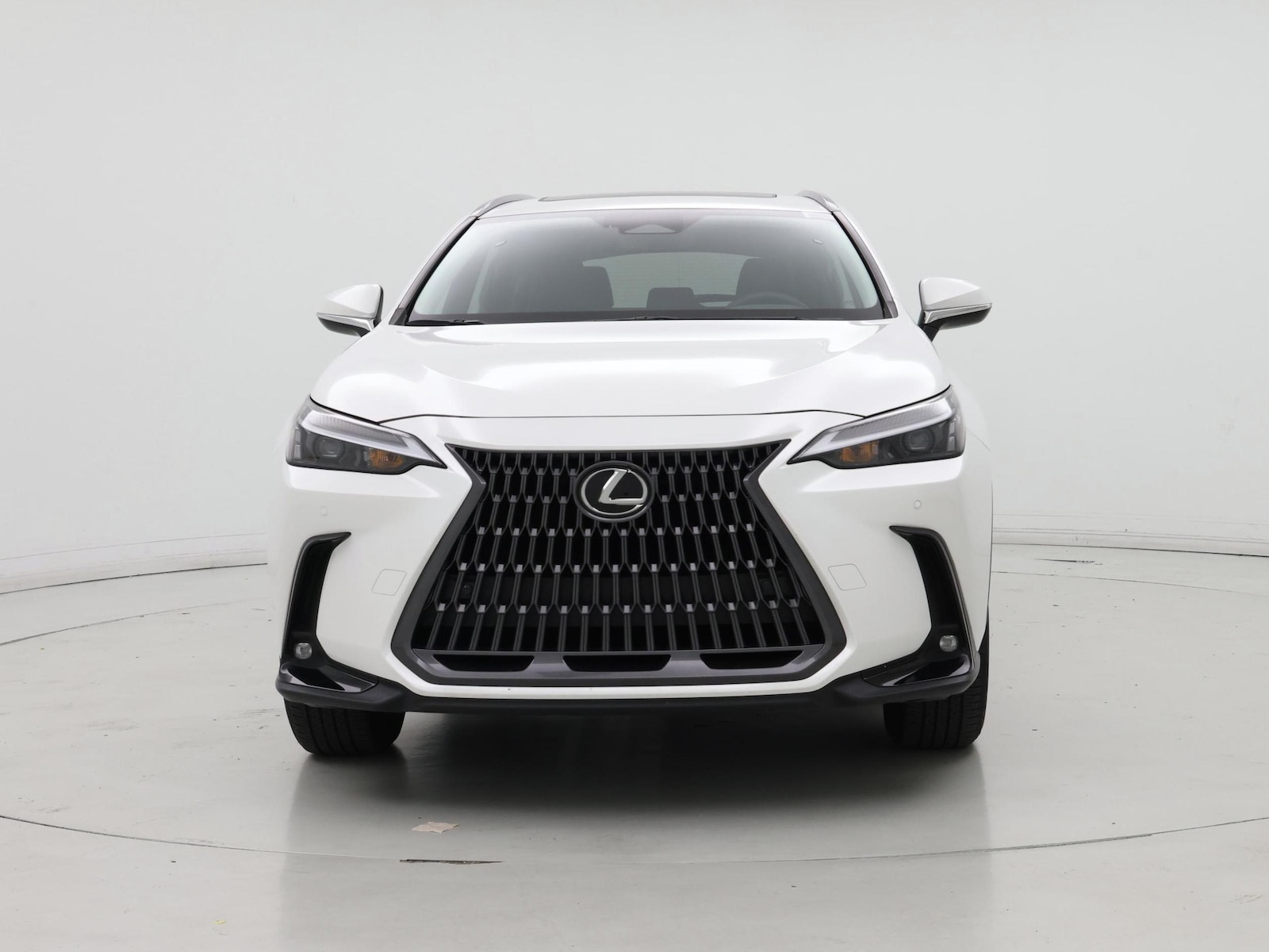 2024 Lexus NX 250 - Photo 6