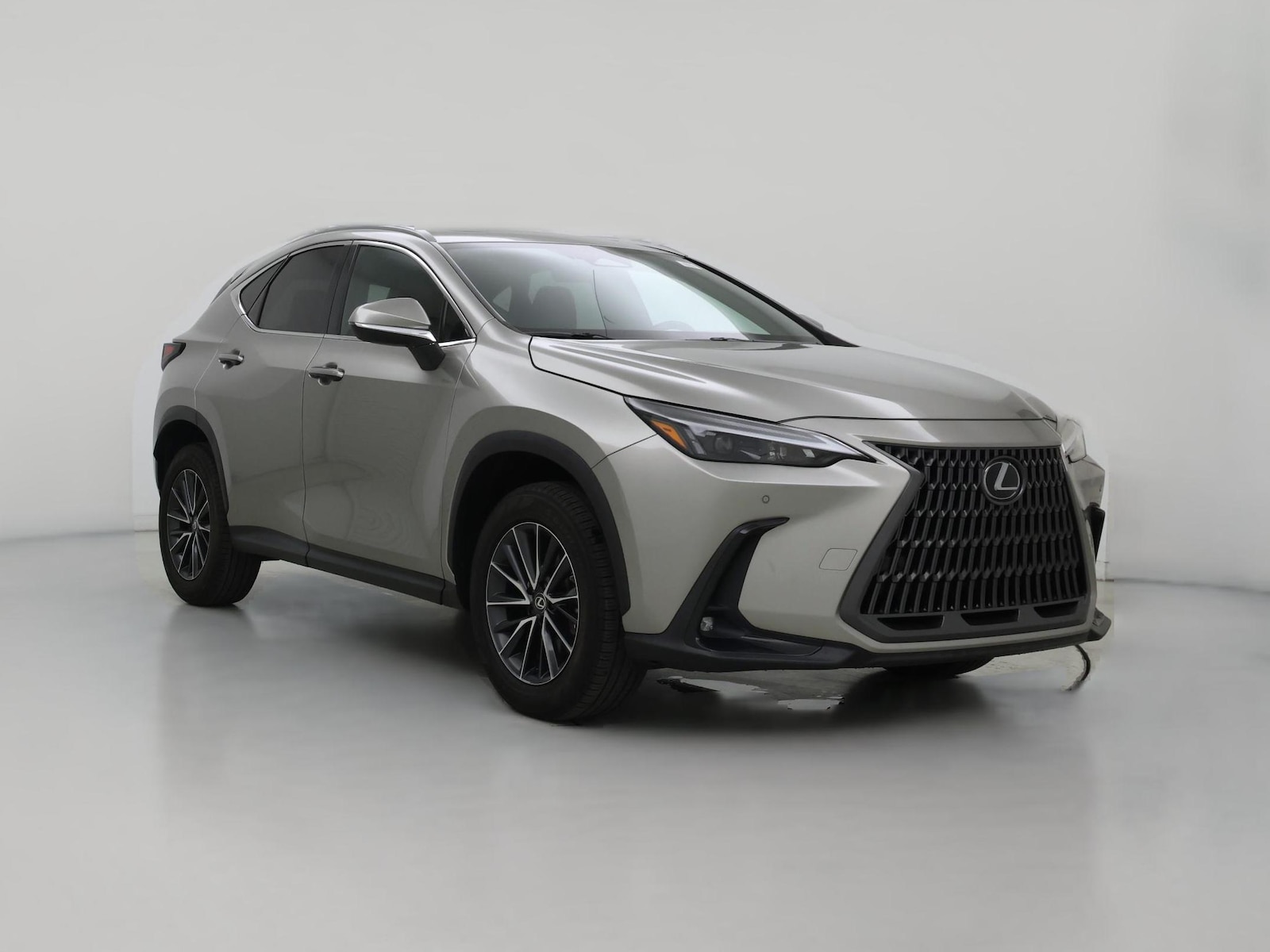 2024 Lexus NX