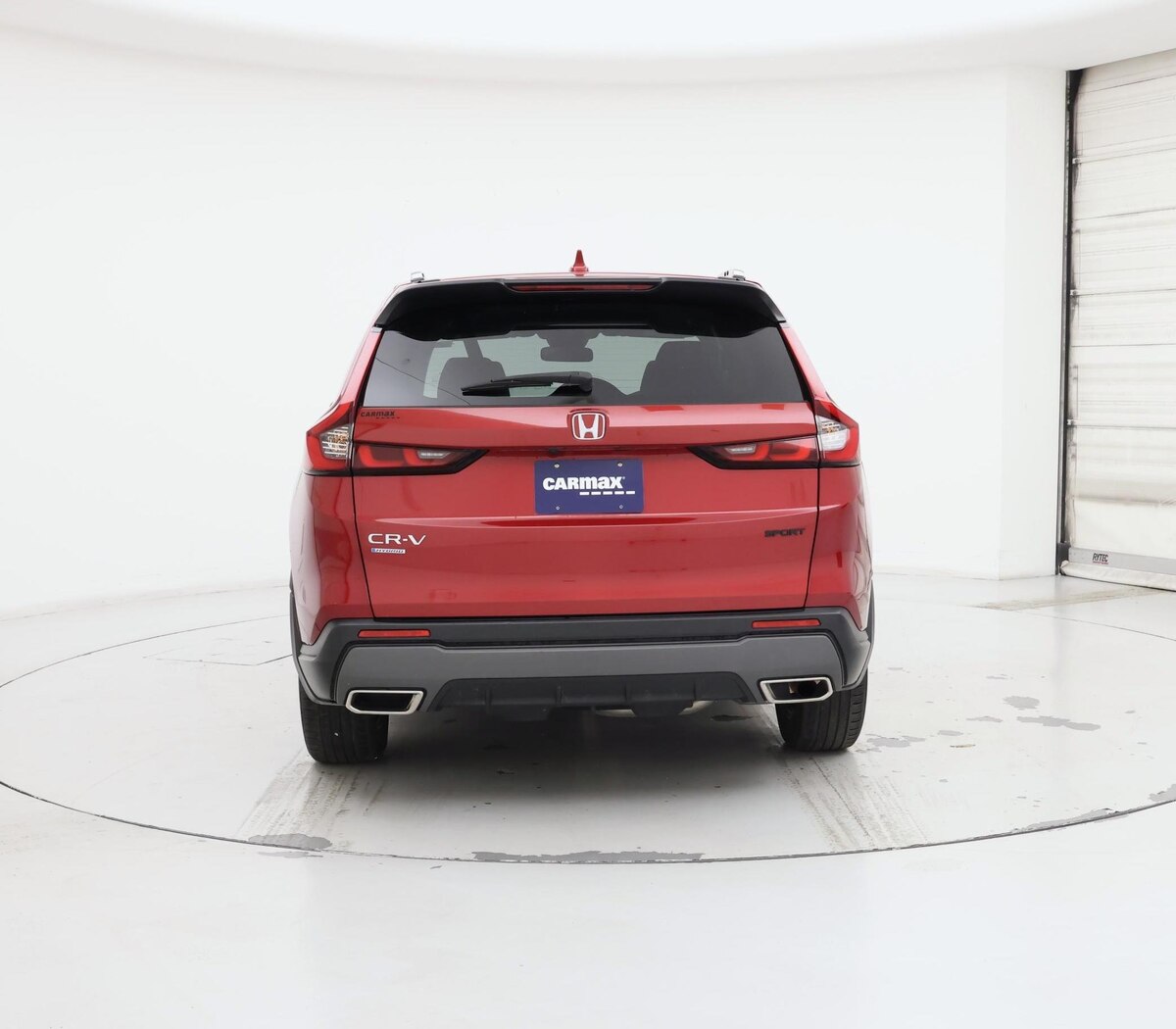 Rear