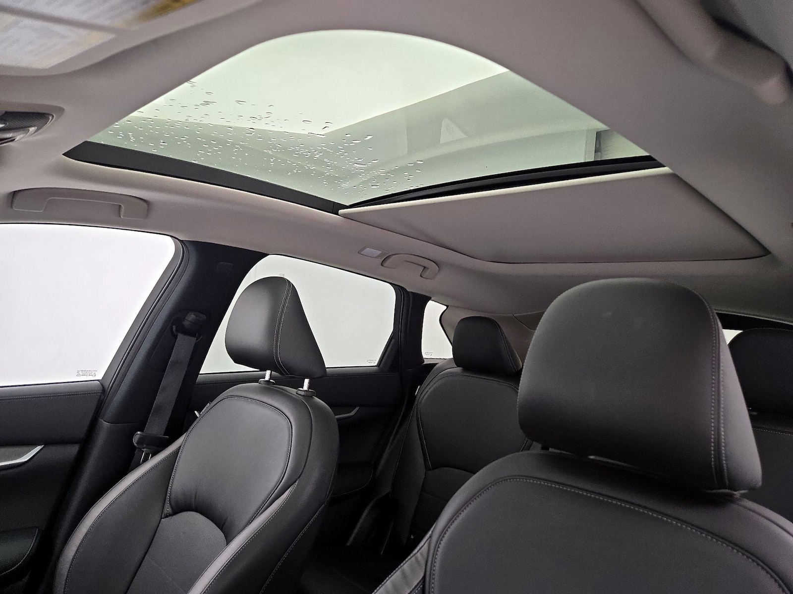 Panoramic Sunroof