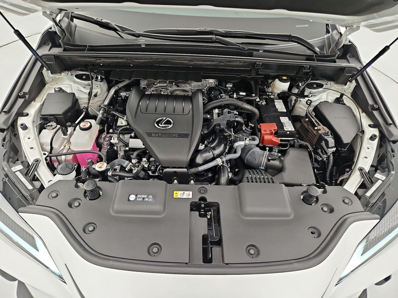 2024 Lexus NX 350 - Photo 24