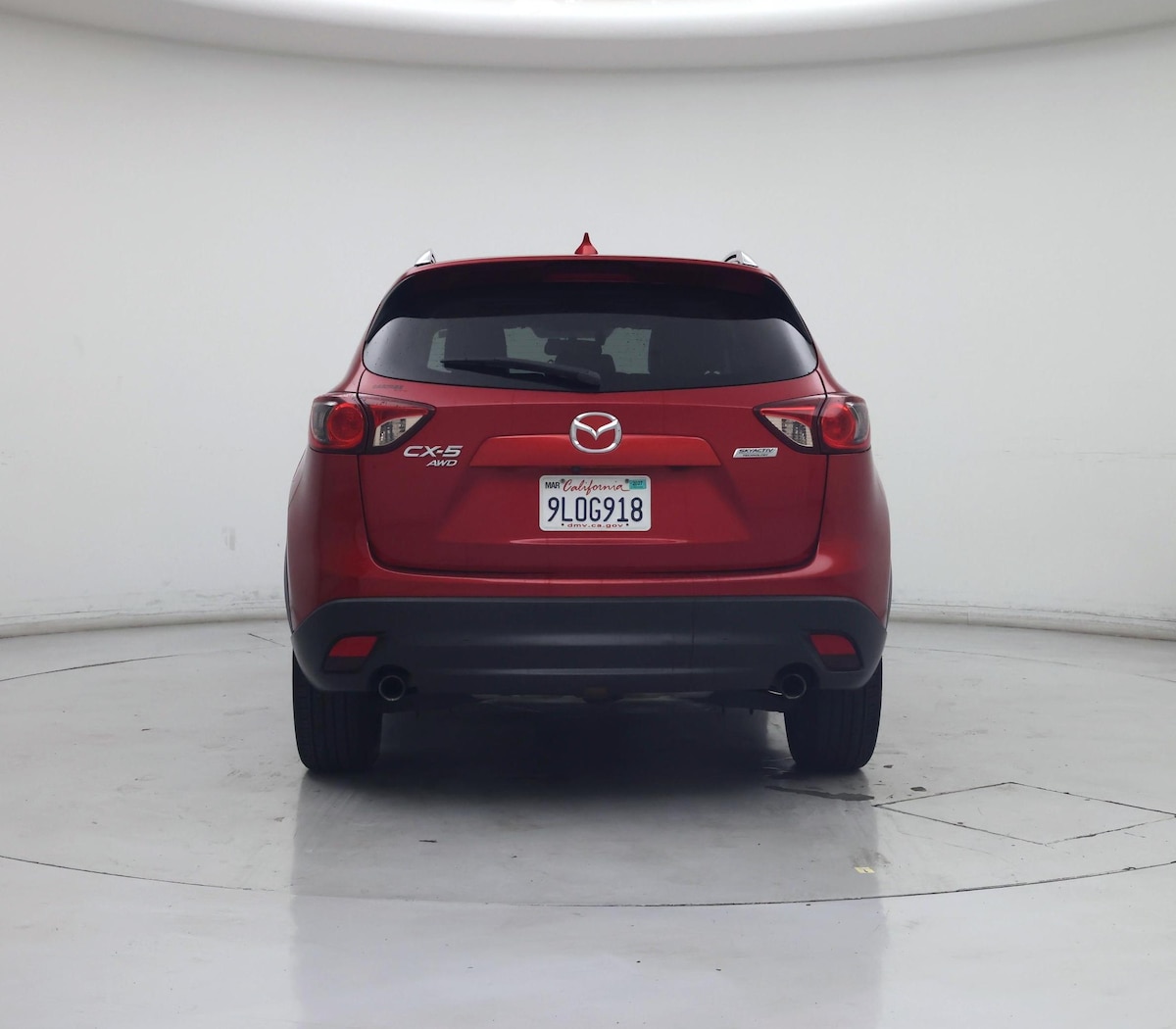 Rear