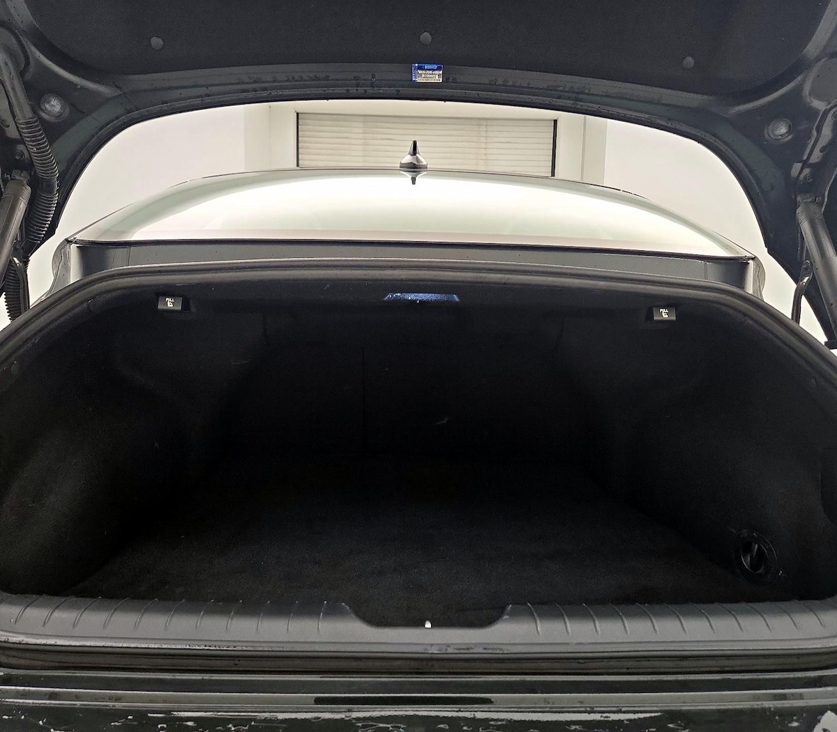 Trunk/Cargo (Seats Up)