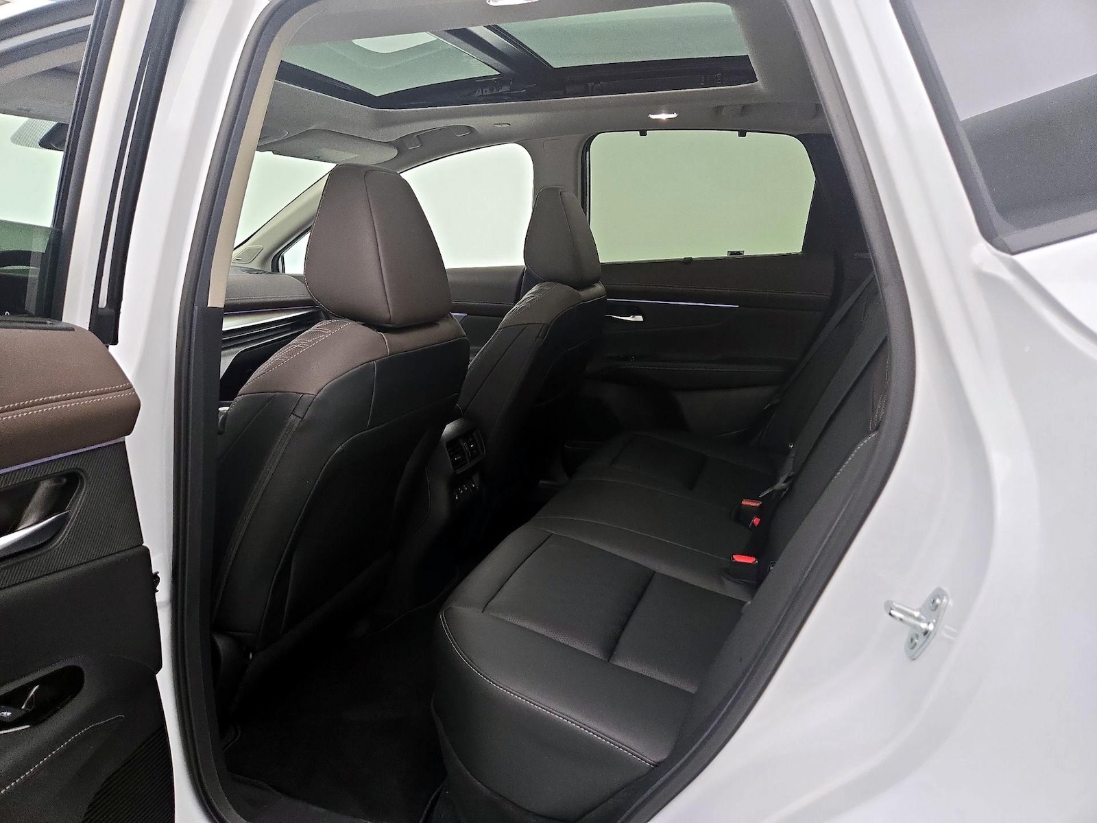 Rear Seat Heaters