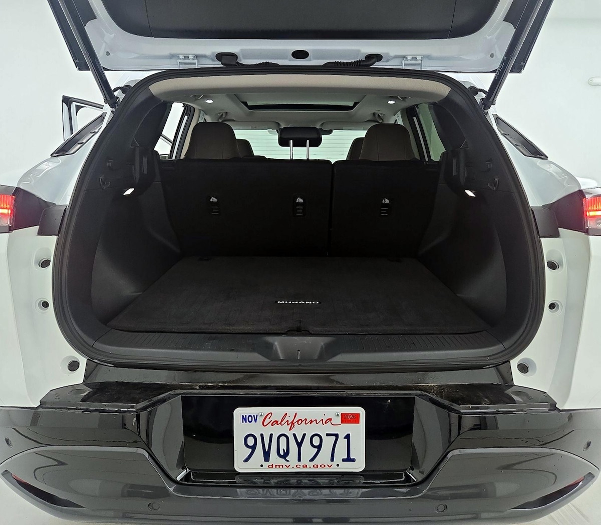 Trunk/Cargo (Seats Up)