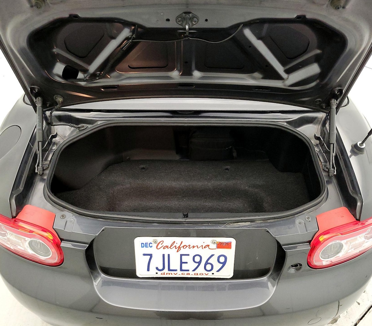 Trunk/Cargo (Seats Up)