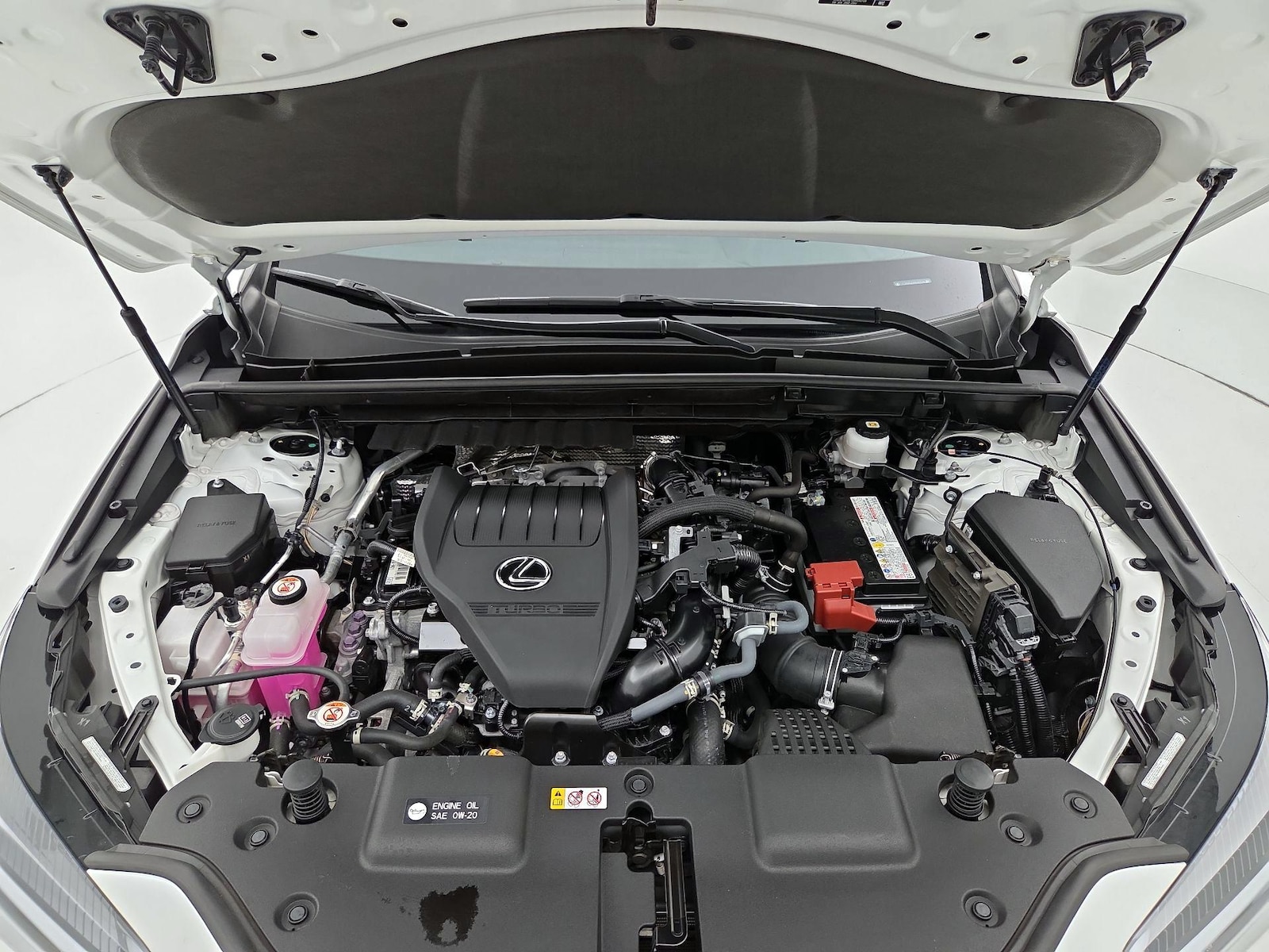 2024 Lexus NX 350 - Photo 23
