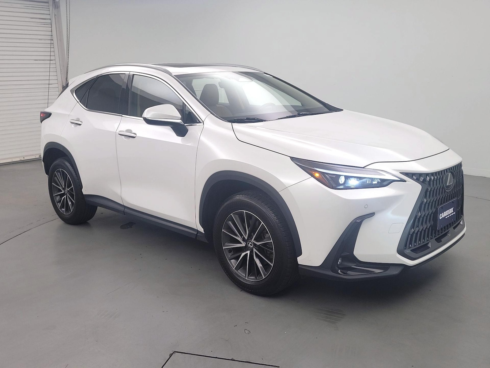 2025 Lexus NX
